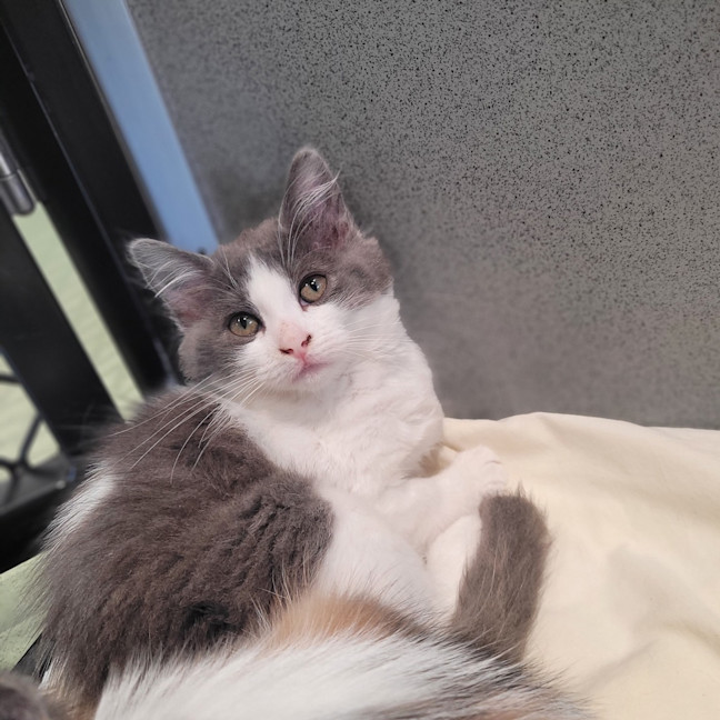Photo of Mei