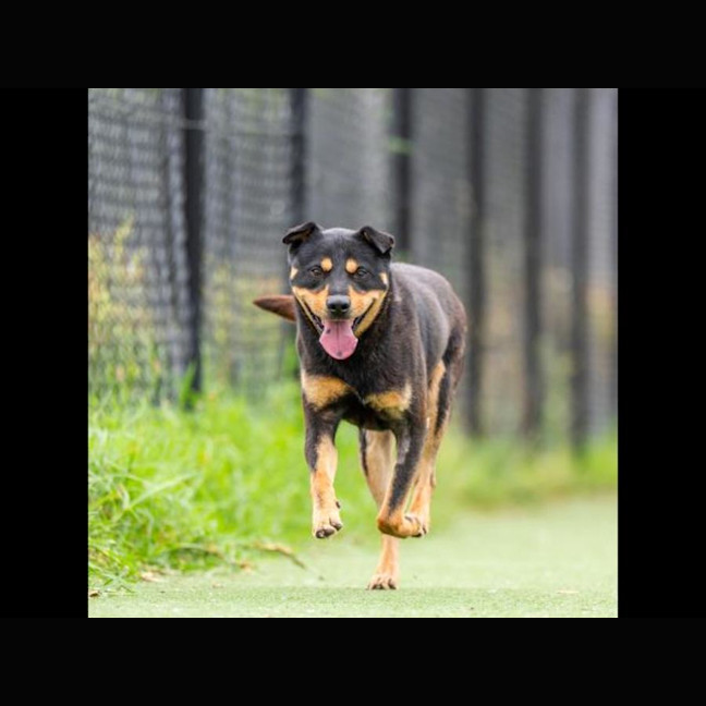 Photo of Eugene Imp 2150