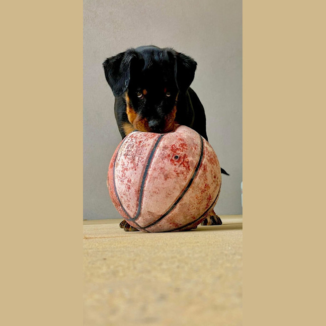 Photo of Stanley