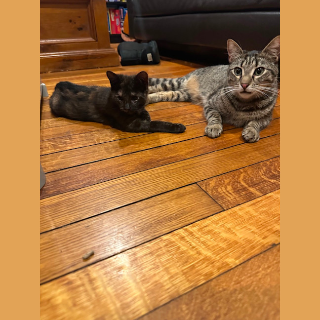 Photo of Penelope