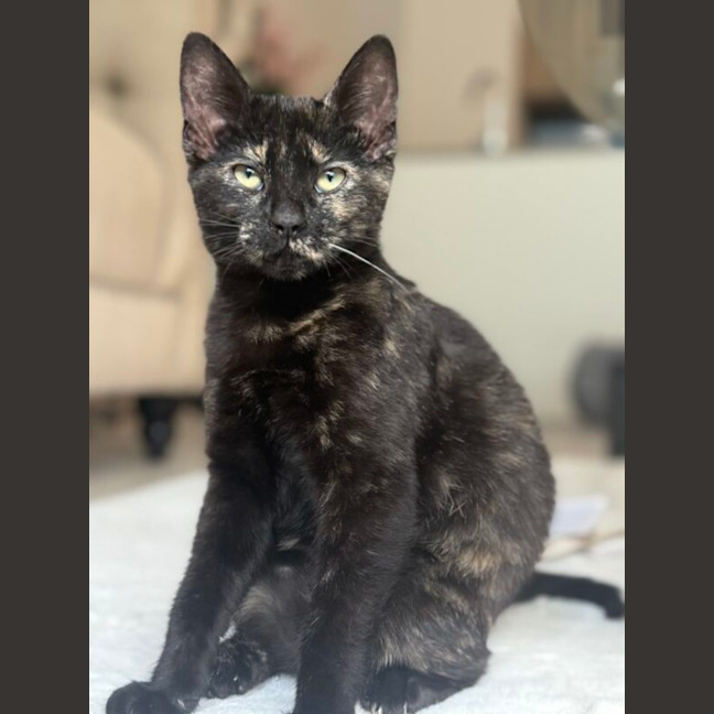 Photo of Malak And Ishmael