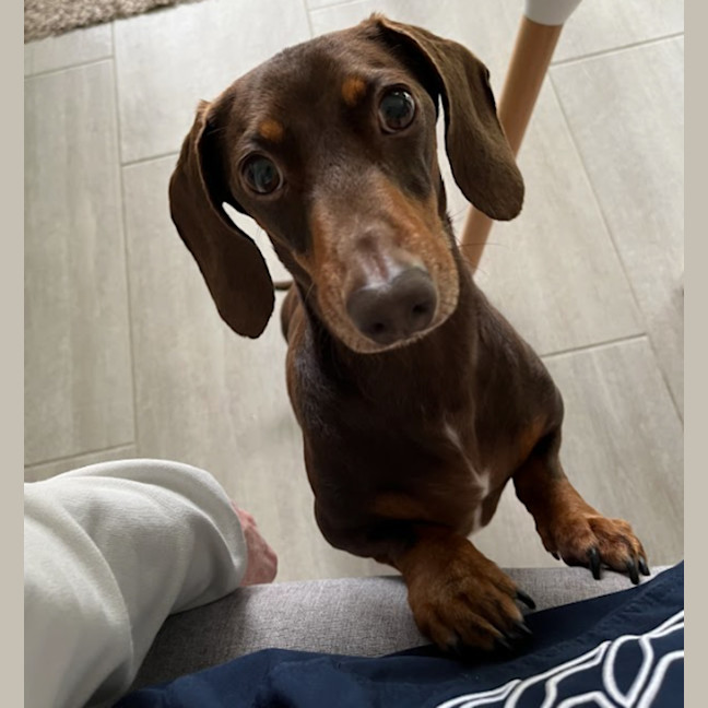 Photo of Douglas (Dougie)