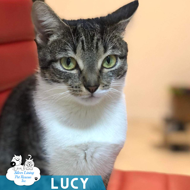 Photo of Lucy