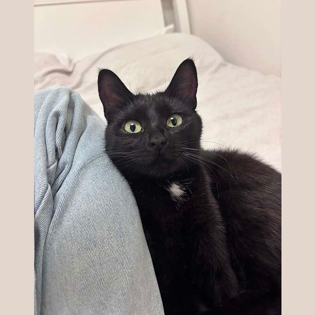 Photo of Soxie