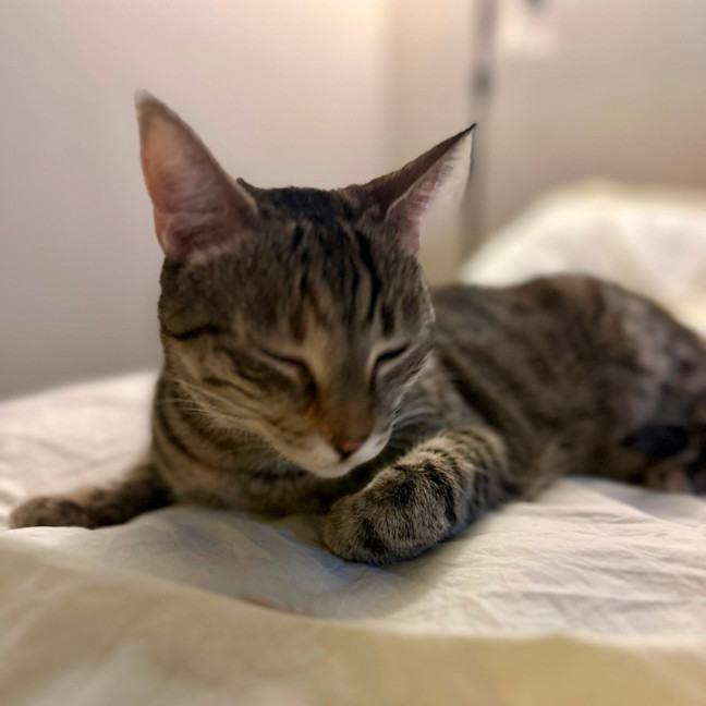 Photo of Tabasco