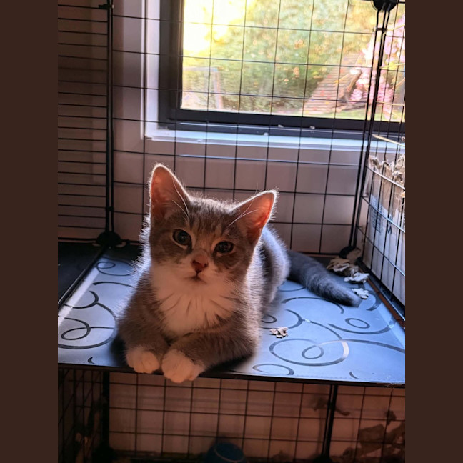 Photo of Pocket