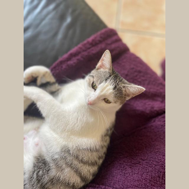 Photo of Keeva