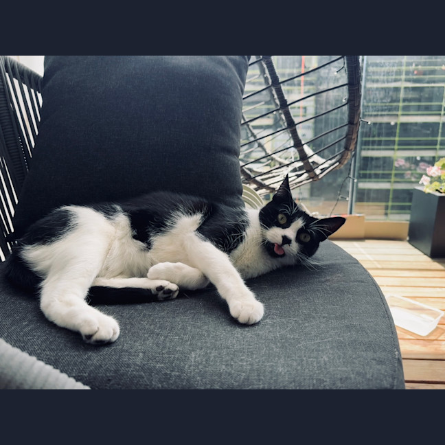 Photo of Marbles