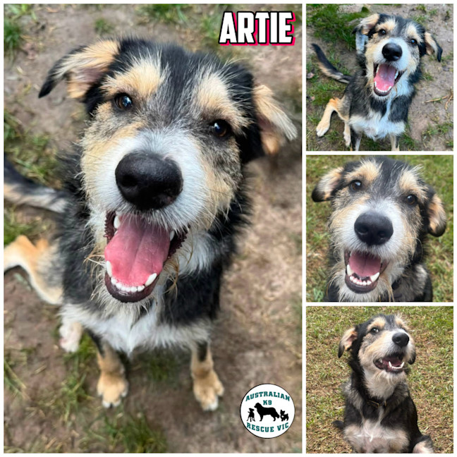 Photo of Artie 