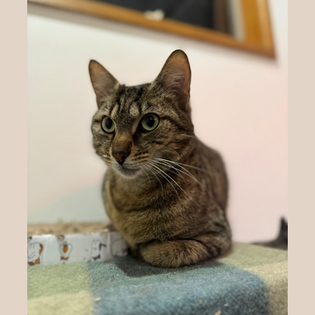 Photo of Lola And Annie