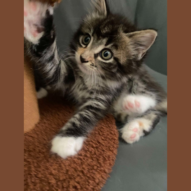 Photo of Margot