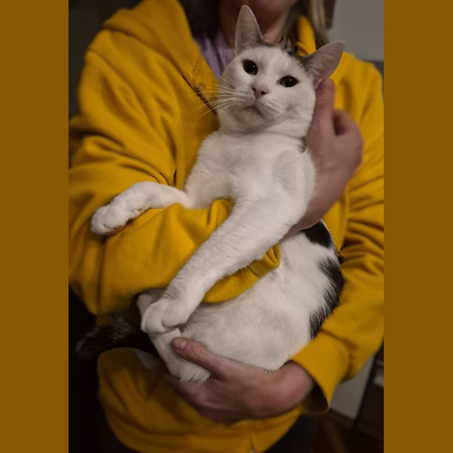 Photo of Percy