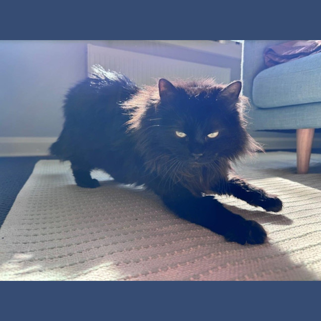 Photo of Sootie Uffelman