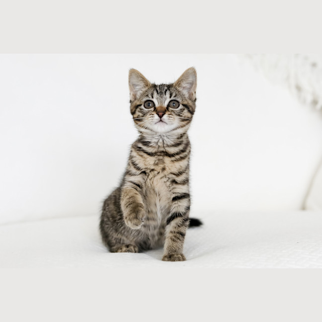 Photo of Milly