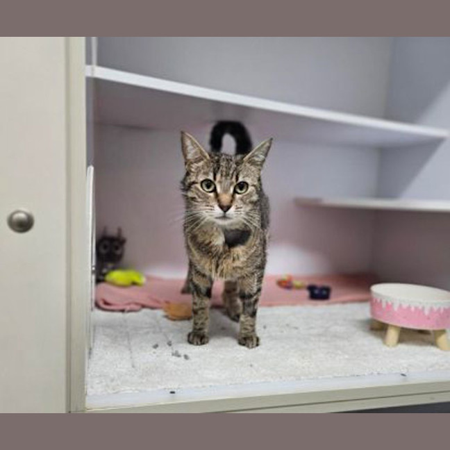 Photo of Eggnogatha Christie