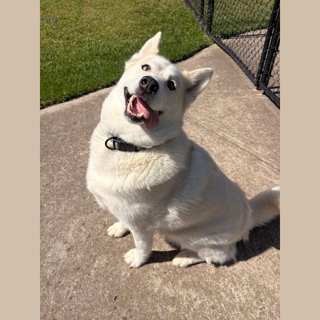 Photo of Mia