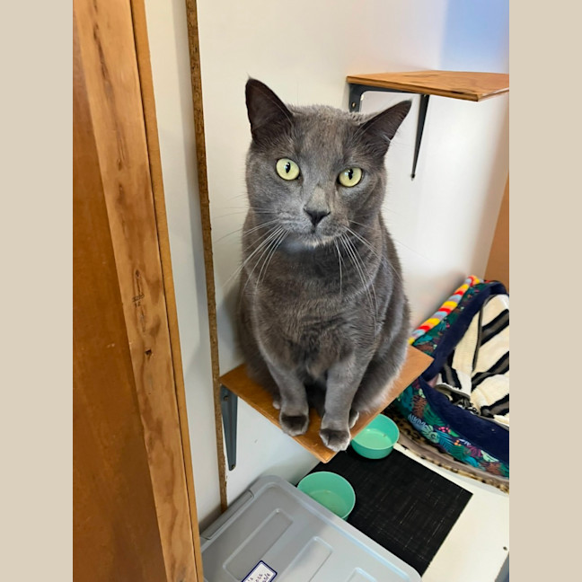 Photo of Norbert