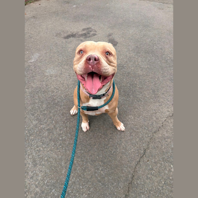 Photo of Nala