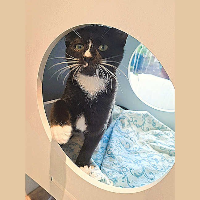 Photo of Twix 