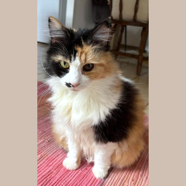 Photo of Beatrice Sta014369