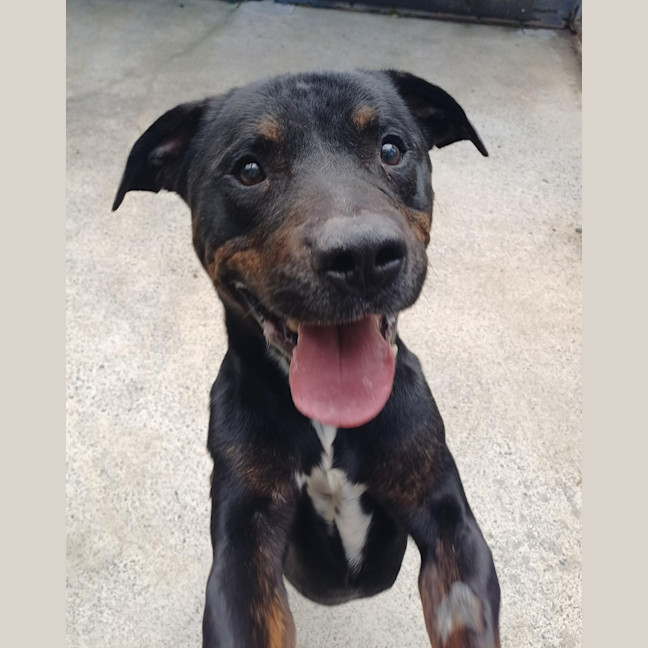 Photo of Junior