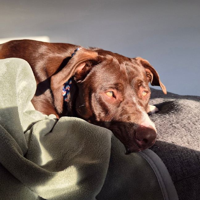 Photo of Molly