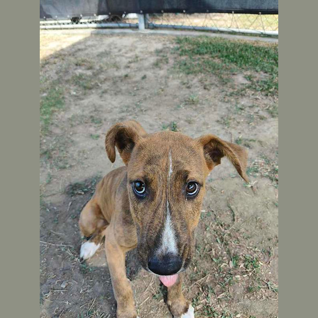 Photo of Shaggy