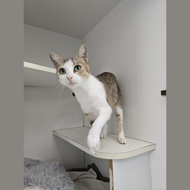 Photo of Cupid