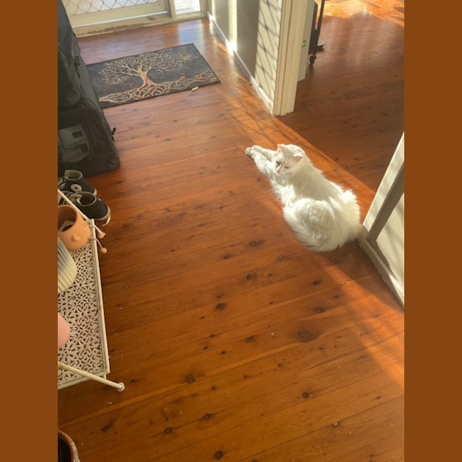 Photo of Princess