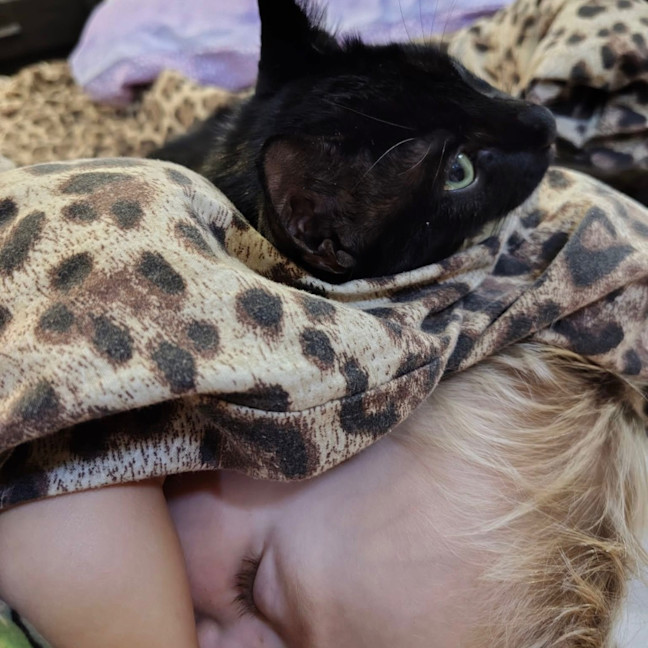 Photo of Cuddle Monkey