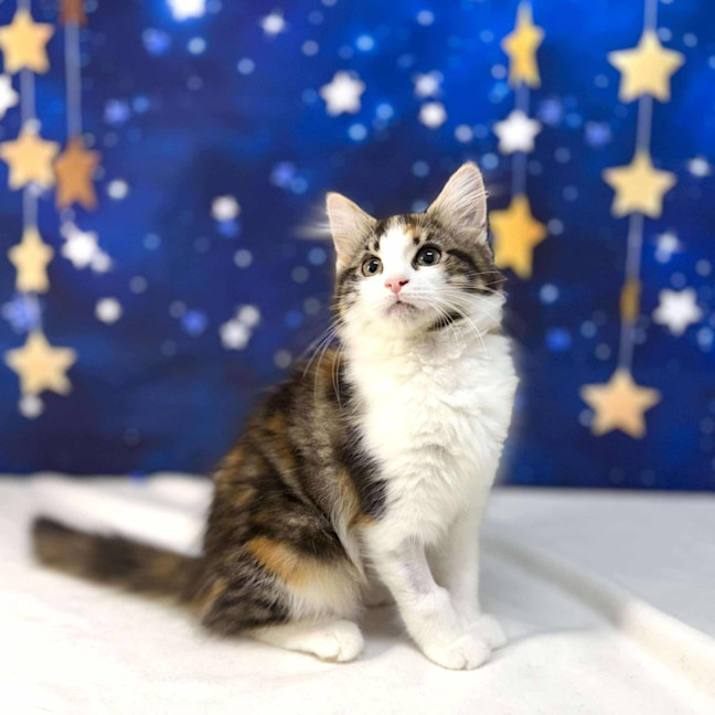 Photo of Florence   Located In Preston
