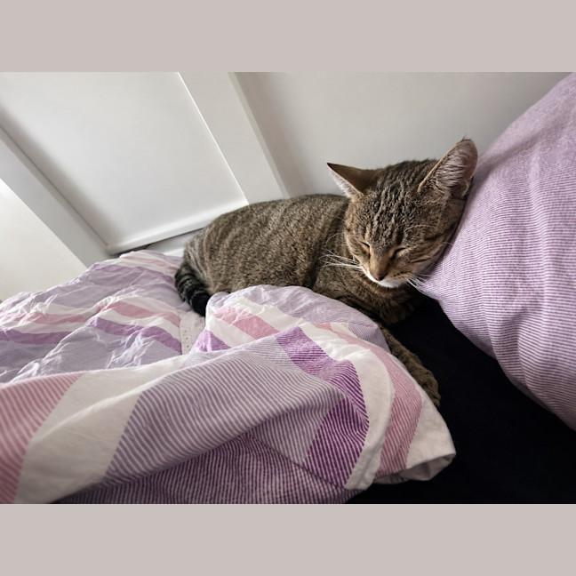Photo of Mia