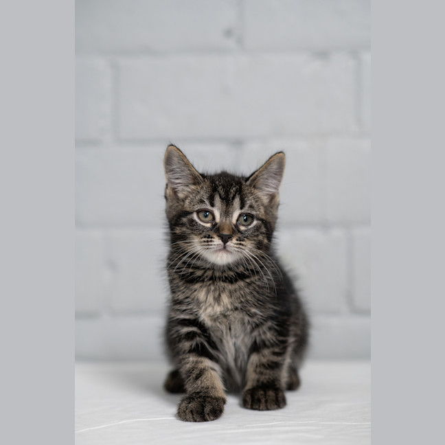 Photo of Tom