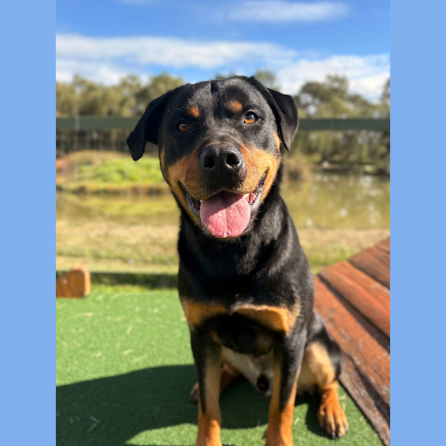 Photo of Maverick