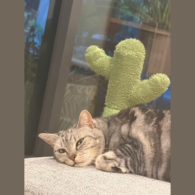 Photo of Sadie