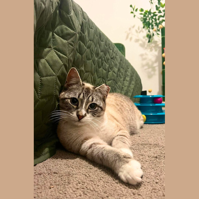 Photo of Gus