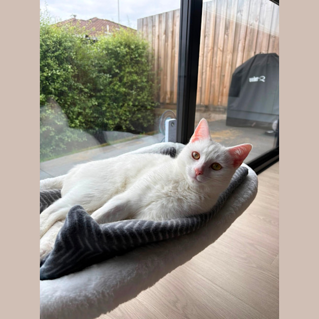 Photo of Yuki