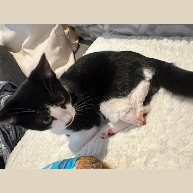 Photo of Zip