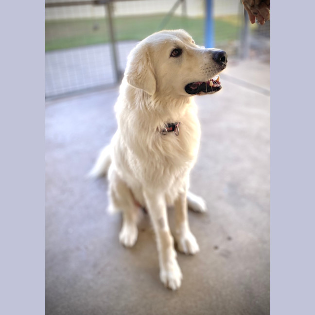 Photo of Polar