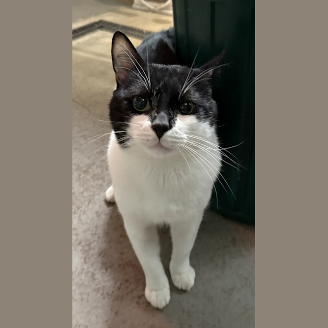 Photo of Kernel