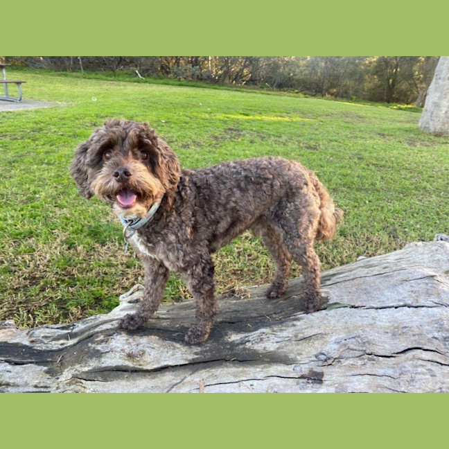 Photo of Milo Russelton