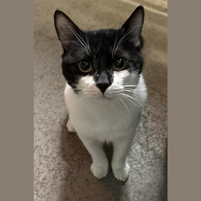 Photo of Kernel