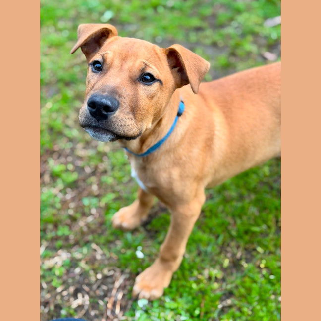 Photo of Charlie