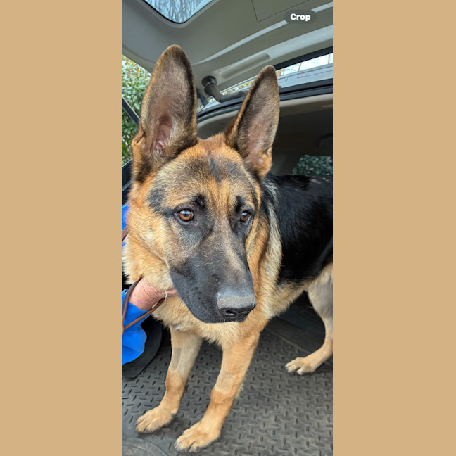 Photo of Max Junior