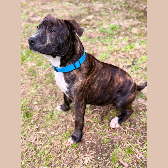 Photo of Tucker