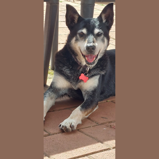 Photo of Walter