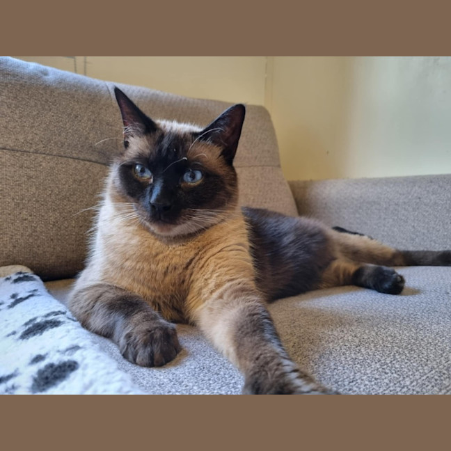 Photo of Frankie & Freddy   Located In Preston