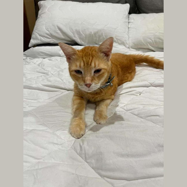 Photo of Jasper