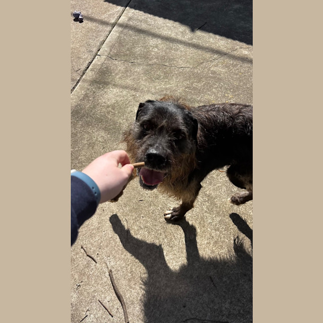 Photo of Duke