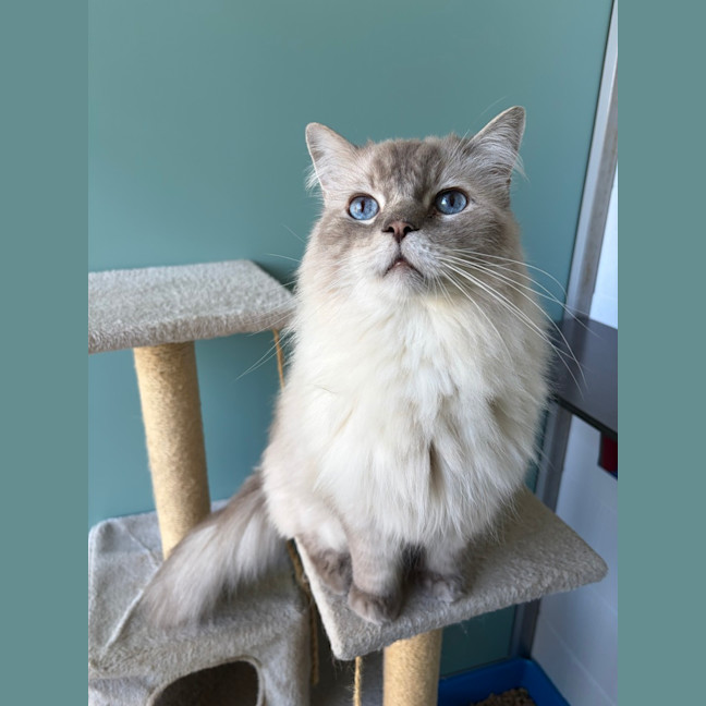 Photo of Ragnar